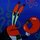 Krabs tiny treasure.thumb